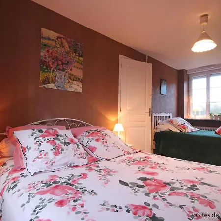 Grande Maison Familiale Avec Jardin Et Animaux Acceptes Pres De La Voie Verte - Fr-1-497-132