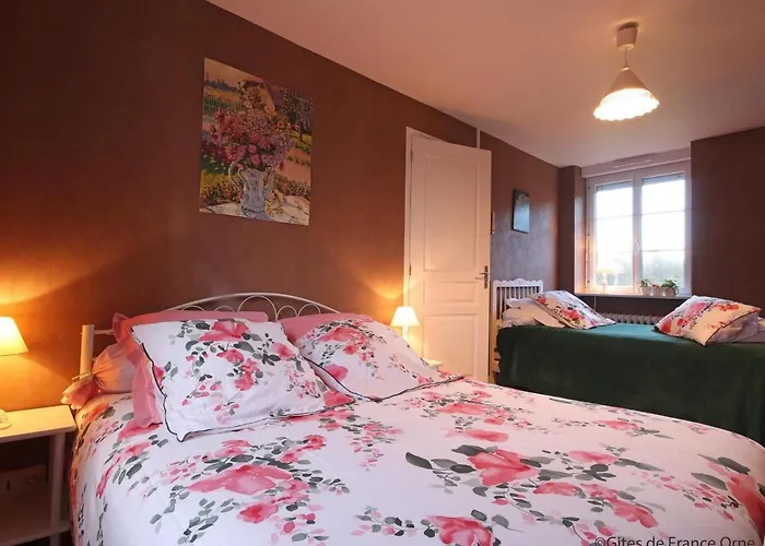 Grande Maison Familiale Avec Jardin Et Animaux Acceptes Pres De La Voie Verte - Fr-1-497-132