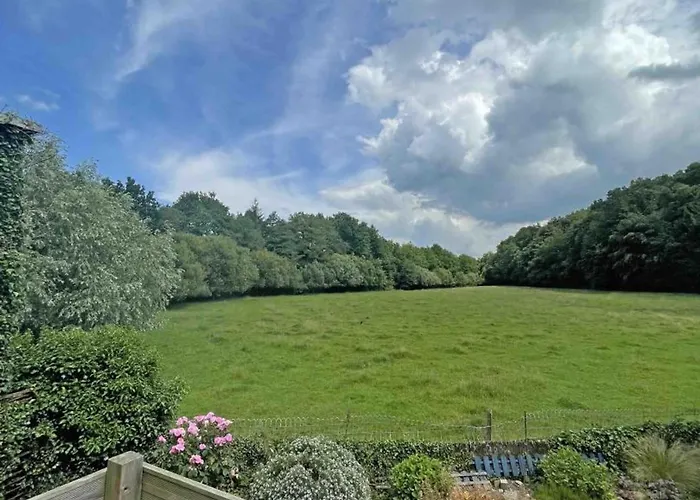 Grande Maison Familiale Avec Jardin Et Animaux Acceptes Pres De La Voie Verte - Fr-1-497-132 *