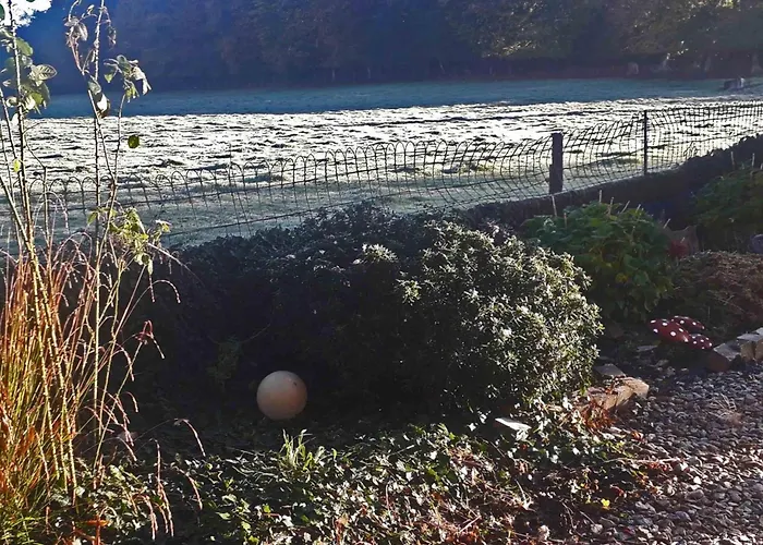 Grande Maison Familiale Avec Jardin Et Animaux Acceptes Pres De La Voie Verte - Fr-1-497-132 בית נופש